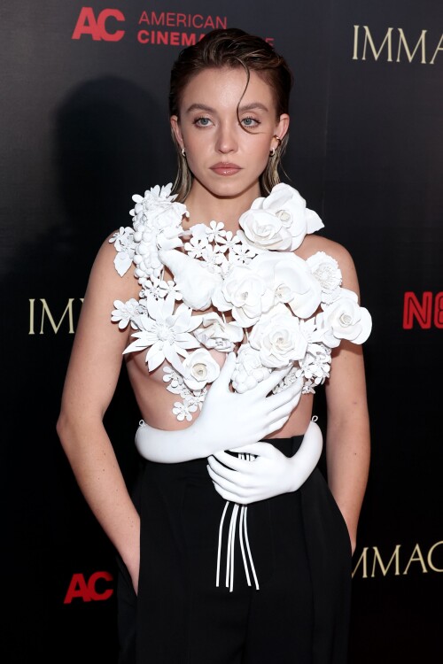 IMG 1663989b69c2a0734885