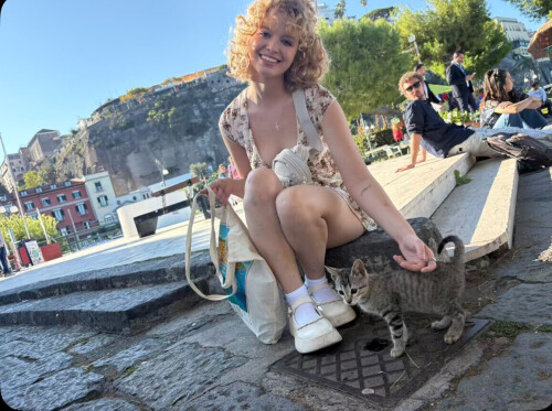 IMG 16656beb76fbc34ae163