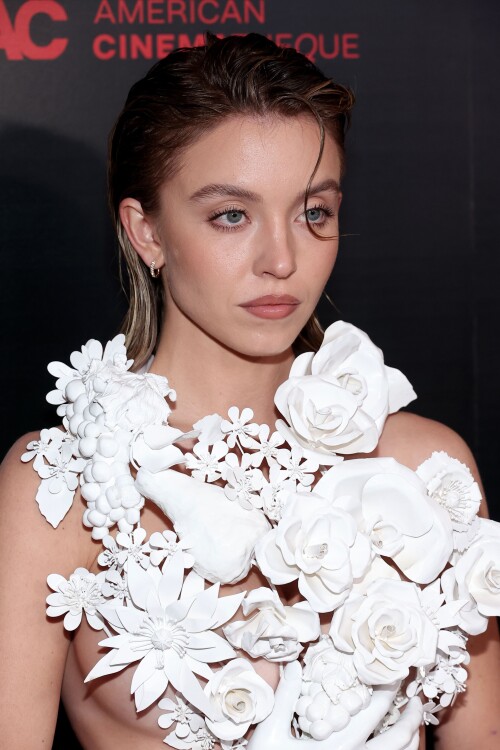 IMG 166685f1166492819f98