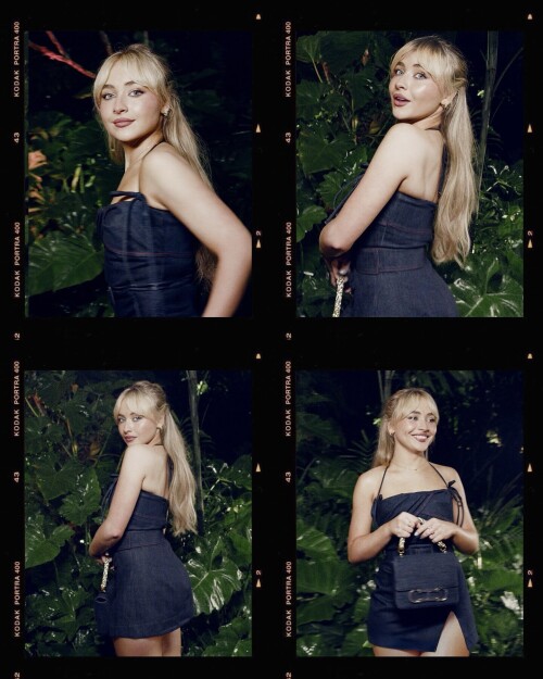 IMG 17008dc8bc52b133bee8