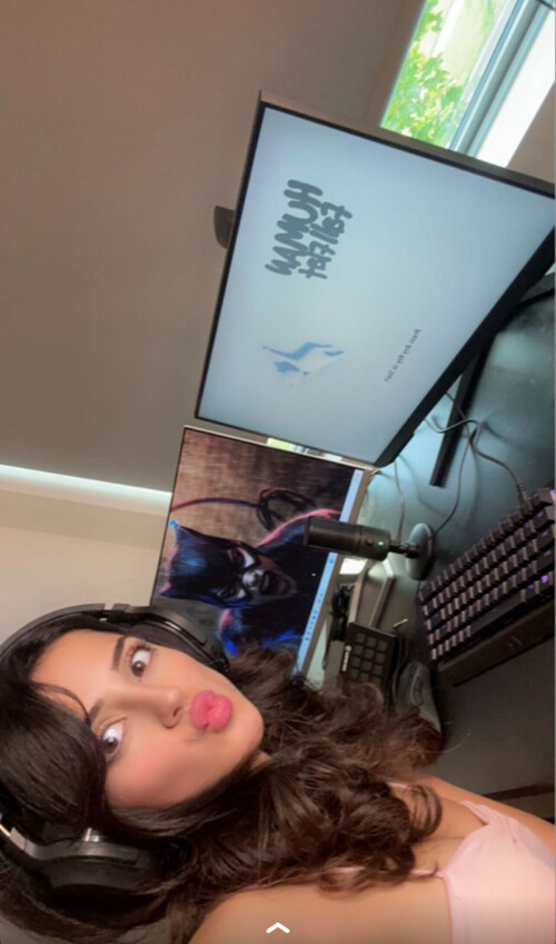 IMG 173297778253da674388