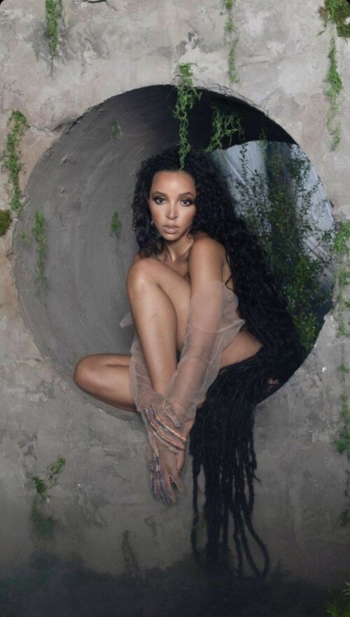 IMG 17501386fe6c955e1095