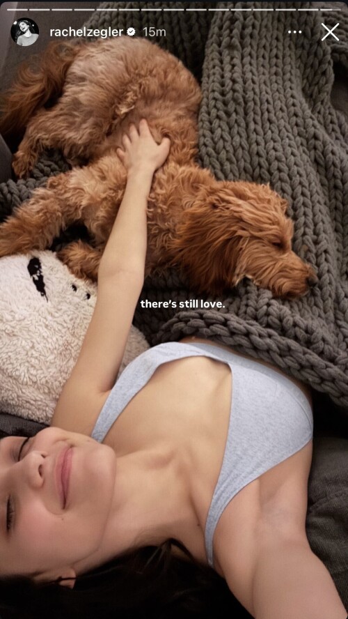 IMG 1769b6ffcfa5ee21294d