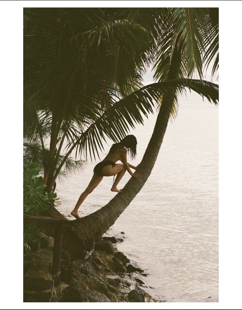 IMG 18198d34adcf66cc29ab