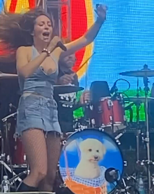 IMG 1822c096465d47567f77