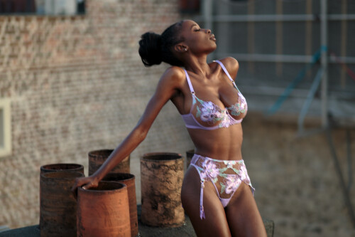 IMG 1918 Modifier0981be6e2a01fa19