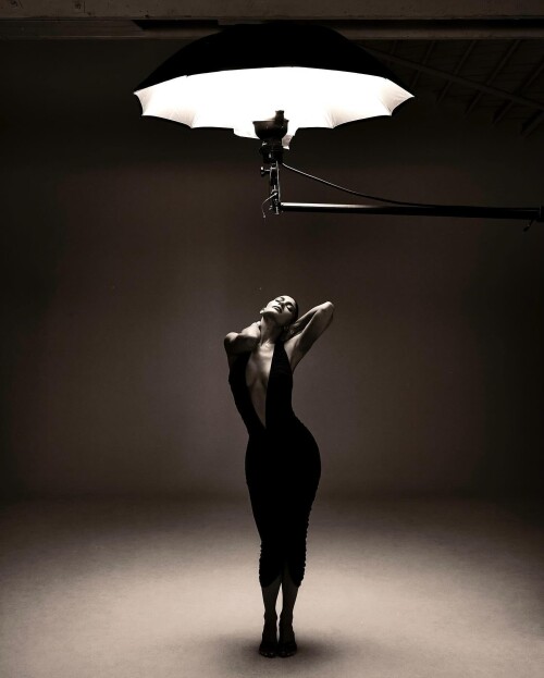 IMG 19413d35396f6b44bead