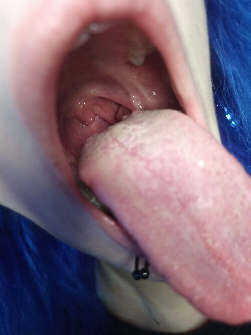 IMG 20210211 2255299147e717e5573e71