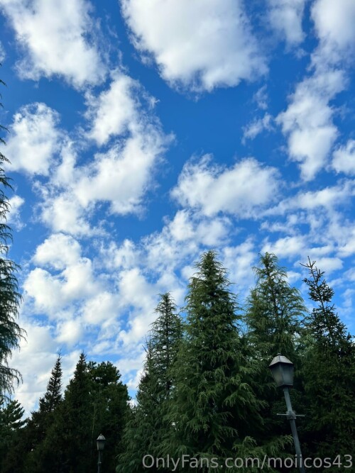 IMG 20221017 142411 687