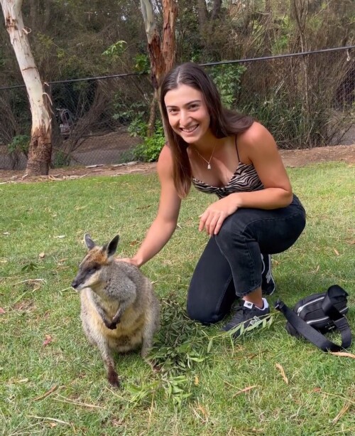 IMG 20230105 155408397a7af10e18a1d5