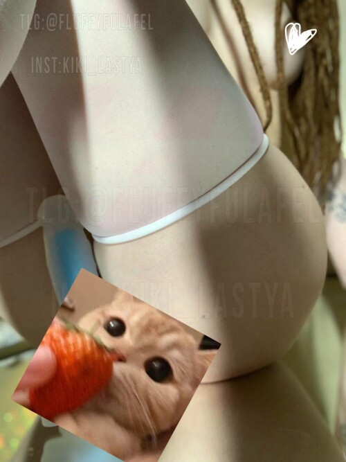 IMG 20230121 023730 06329f9e31bd51ceee8