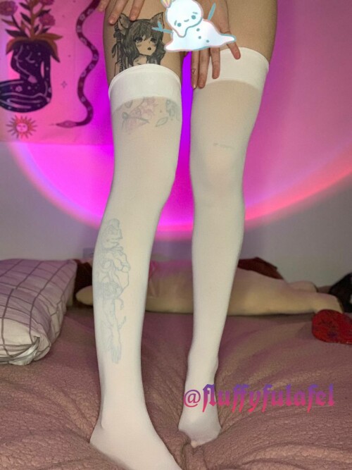 IMG 20230121 040936 765