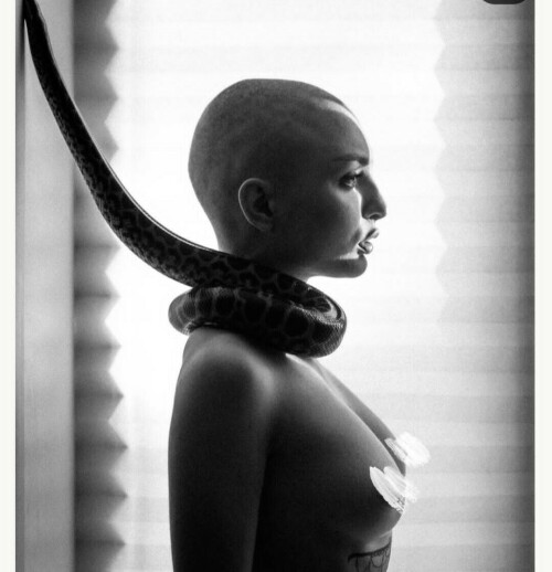 IMG 20230124 16465448b7079ac77f6fe0