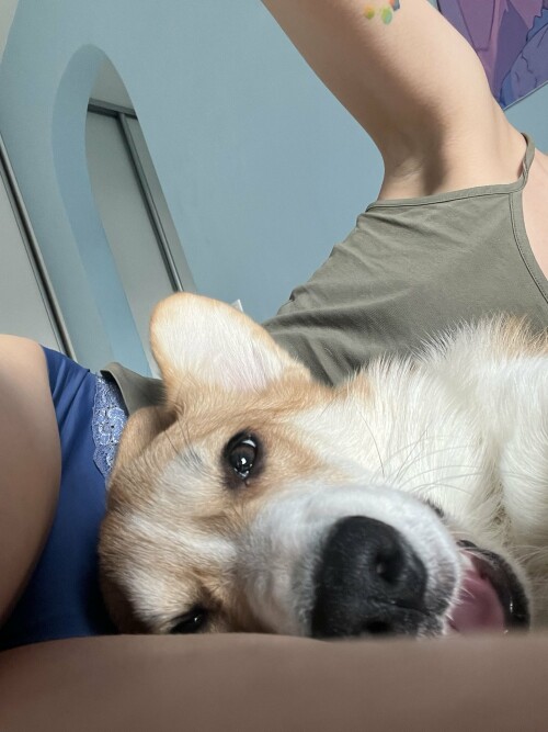 IMG 20230731 0811183b827bb43e14cbcb