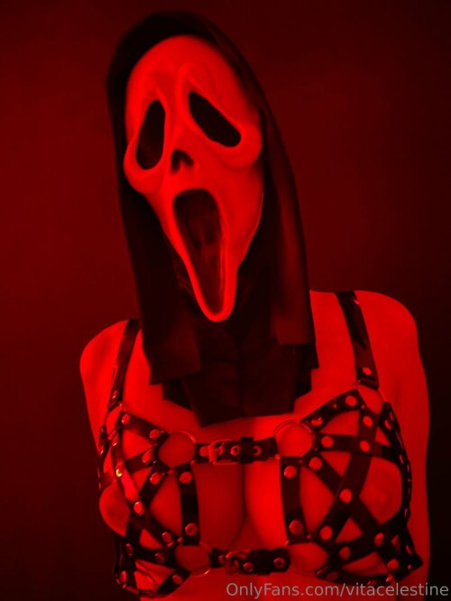 IMG 20231026 063954 528b548bc7f0d44ef62