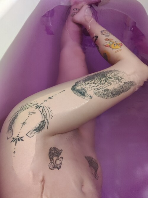 IMG 20231112 1524212c67aafed79bc744