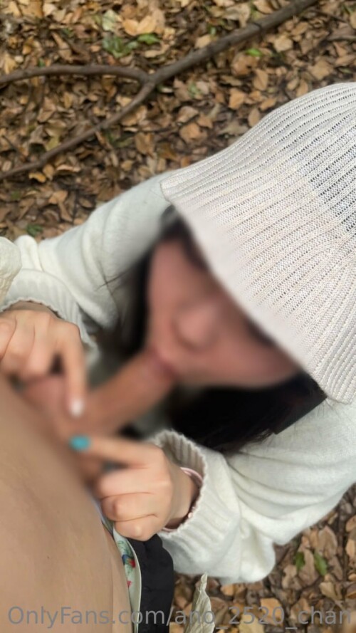 IMG 20231209 095355 059393818c14c050648