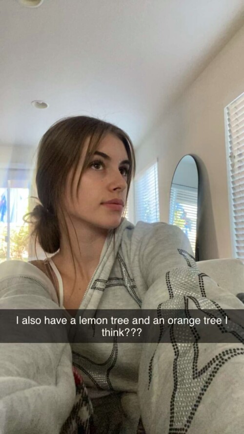 IMG 2023ffa0a0440c111e88