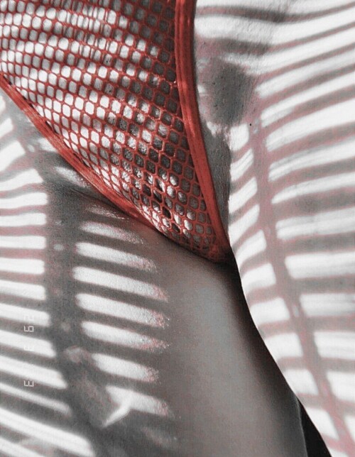 IMG 20240701 113815 1979f69ca64788de155