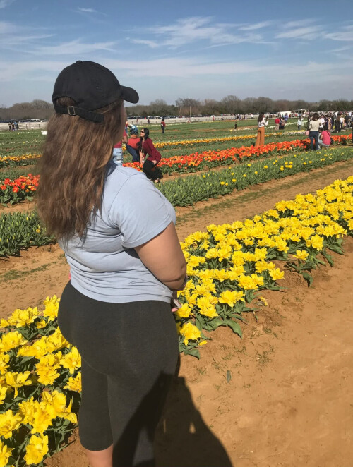 IMG 2045995a36c5f42a06af