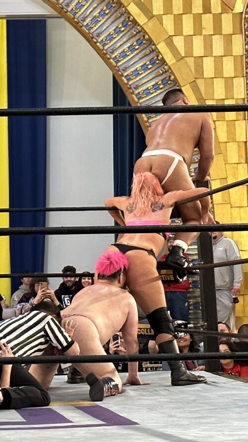 IMG 2068c3d54d8166c3ab14