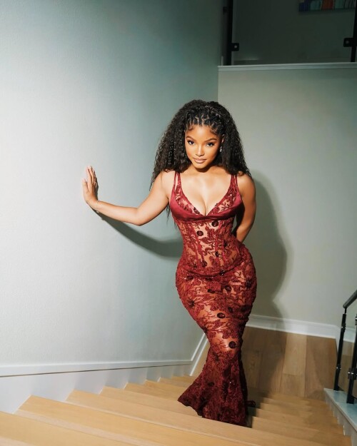 IMG 2118b3d7547ab1a9d914