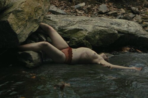 IMG 2175f72c2bb126d9059a