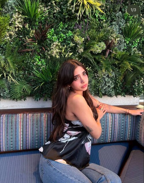 IMG 21883633622c2279cf03