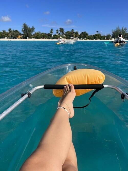 IMG 21920fd8b46024839434