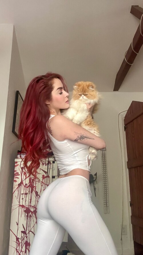 IMG 221582c7ed9ddf66d037