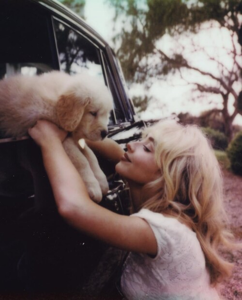 IMG 2238f1d642c3a20da981