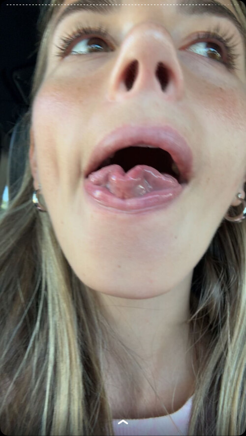 IMG 226730a75634496a3e60