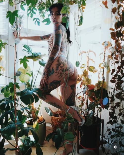 IMG 22685fb62a9f43a484a7