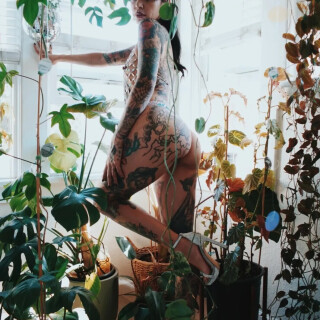 IMG_22685fb62a9f43a484a7