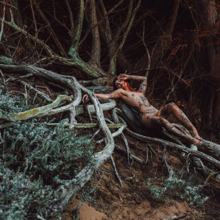 IMG_2291a5e6d529243afb3f