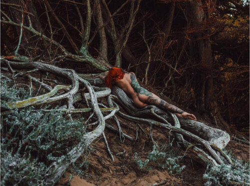 IMG 22922e94e7b0e1e486a4