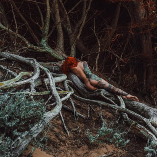 IMG_22922e94e7b0e1e486a4