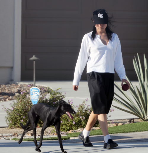 IMG_22964333c9af4cdb8115