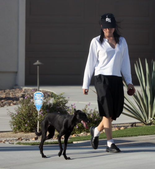 IMG_229783c52b82e2081747