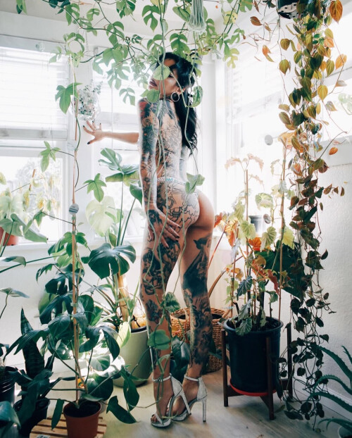 IMG 23093ccfec0e832d18b1