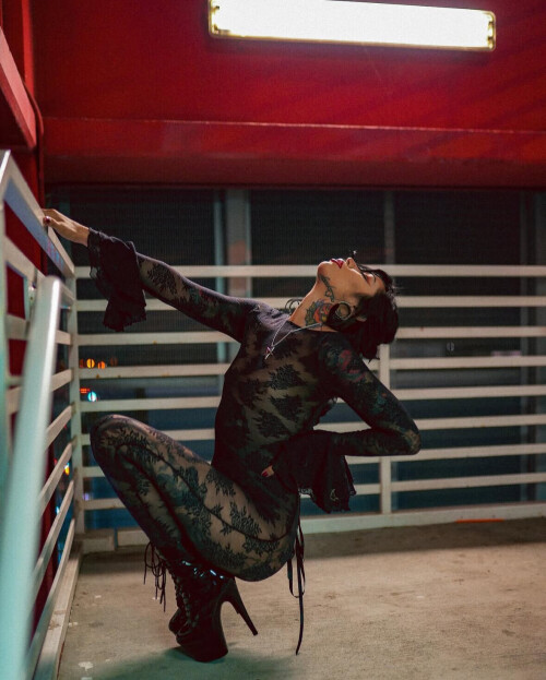 IMG 2326f466b09d1eefc256