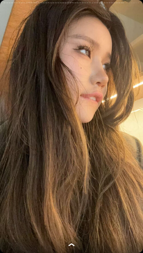 IMG 233488d24c508effaa8c