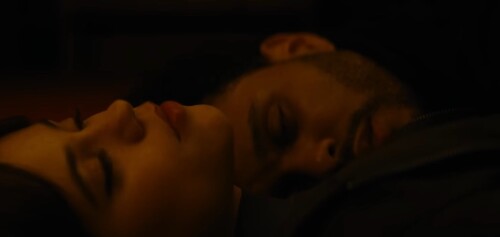 IMG 233598b716a52177da56