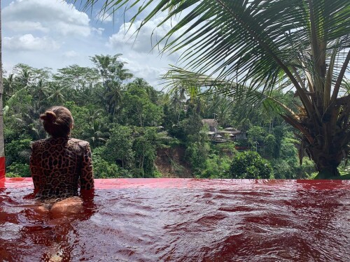 IMG 2437c4f7dffed7fb7057