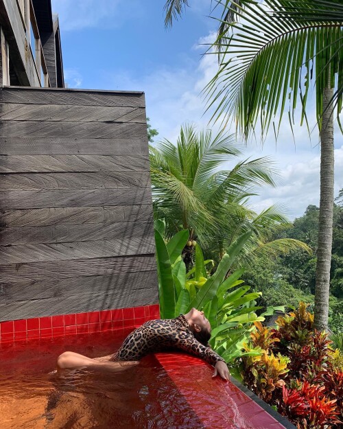 IMG 2441a17c12dba98d321c