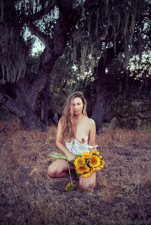 IMG 245509865d01a602234be55371c96c39775f