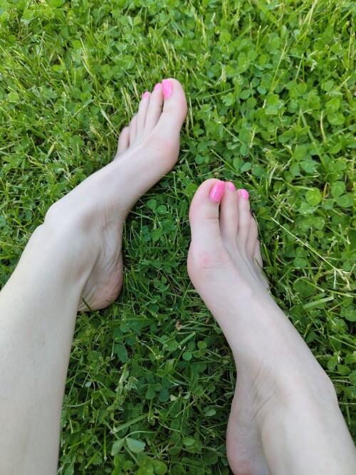 IMG 2500e64a82bdfed42489