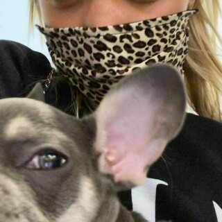 IMG_2512fc5ff218128f894a