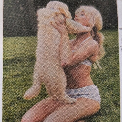 IMG 2514757da4a56a06926a