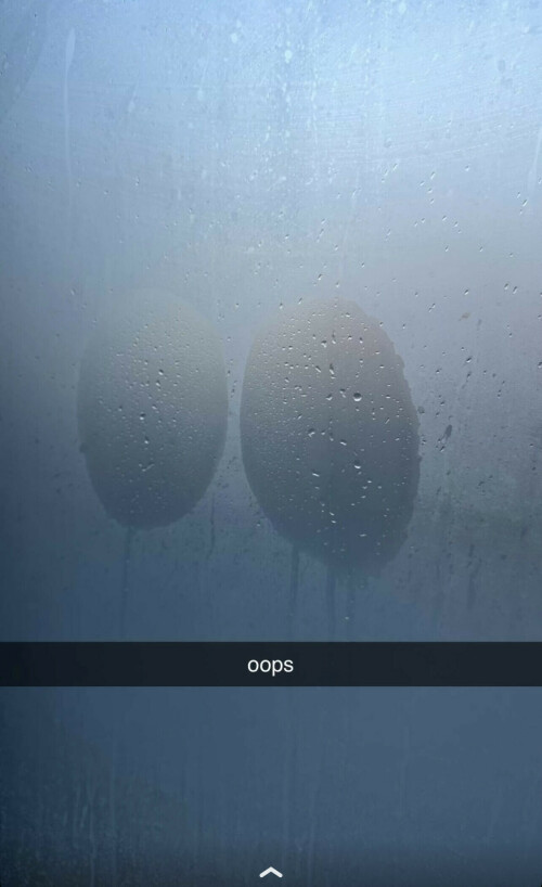 IMG 2528b114169eeaede113